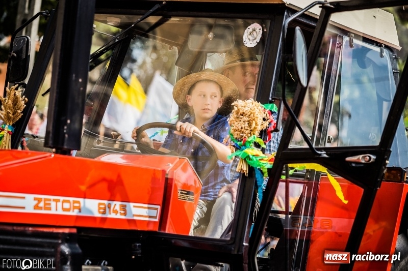 Zdjęcie w galerii na portalu naszraciborz.pl: Dwie orkiestry, kajakarze i drwale, a do tego szarpidruty - kolorowe i radosne dożynki wojewódzkie w Tworkowie  wiadomości z regionu