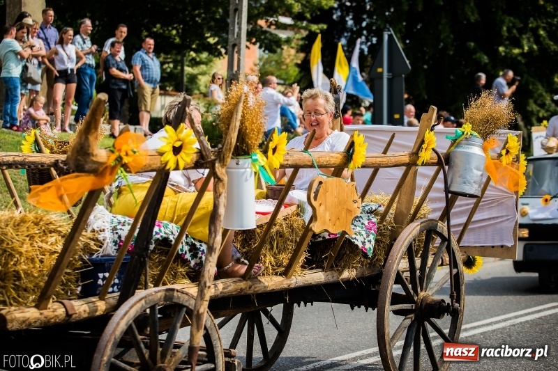 Zdjęcie w galerii na portalu naszraciborz.pl: Dwie orkiestry, kajakarze i drwale, a do tego szarpidruty - kolorowe i radosne dożynki wojewódzkie w Tworkowie  wiadomości z regionu