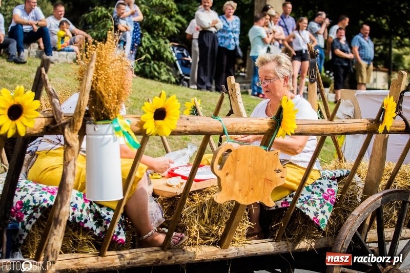 Zdjęcie w galerii na portalu naszraciborz.pl: Dwie orkiestry, kajakarze i drwale, a do tego szarpidruty - kolorowe i radosne dożynki wojewódzkie w Tworkowie  wiadomości z regionu