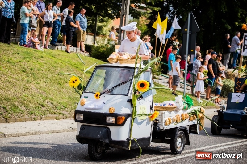 Zdjęcie w galerii na portalu naszraciborz.pl: Dwie orkiestry, kajakarze i drwale, a do tego szarpidruty - kolorowe i radosne dożynki wojewódzkie w Tworkowie  wiadomości z regionu