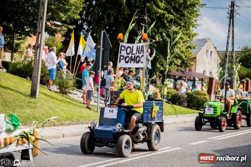 Zdjęcie w galerii na portalu naszraciborz.pl: Dwie orkiestry, kajakarze i drwale, a do tego szarpidruty - kolorowe i radosne dożynki wojewódzkie w Tworkowie  wiadomości z regionu