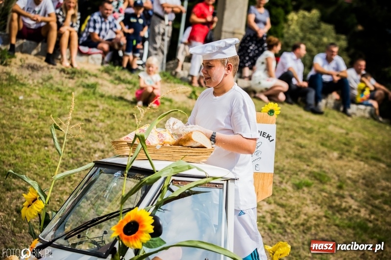 Zdjęcie w galerii na portalu naszraciborz.pl: Dwie orkiestry, kajakarze i drwale, a do tego szarpidruty - kolorowe i radosne dożynki wojewódzkie w Tworkowie  wiadomości z regionu