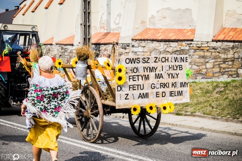 Zdjęcie w galerii na portalu naszraciborz.pl: Dwie orkiestry, kajakarze i drwale, a do tego szarpidruty - kolorowe i radosne dożynki wojewódzkie w Tworkowie  wiadomości z regionu