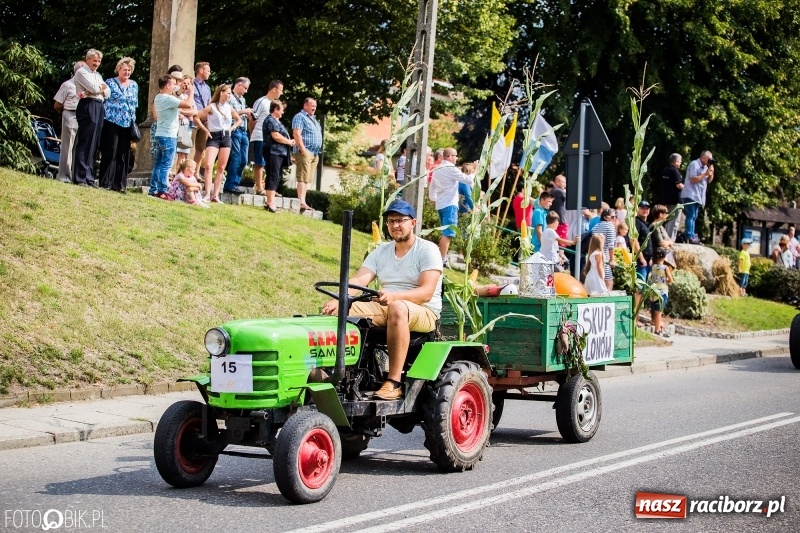 Zdjęcie w galerii na portalu naszraciborz.pl: Dwie orkiestry, kajakarze i drwale, a do tego szarpidruty - kolorowe i radosne dożynki wojewódzkie w Tworkowie  wiadomości z regionu