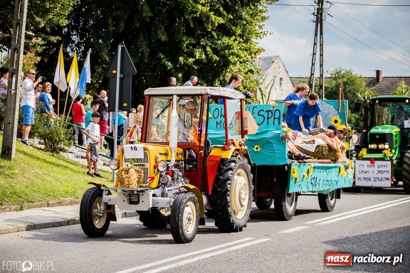 Zdjęcie w galerii na portalu naszraciborz.pl: Dwie orkiestry, kajakarze i drwale, a do tego szarpidruty - kolorowe i radosne dożynki wojewódzkie w Tworkowie  wiadomości z regionu