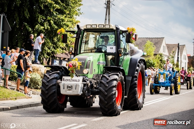 Zdjęcie w galerii na portalu naszraciborz.pl: Dwie orkiestry, kajakarze i drwale, a do tego szarpidruty - kolorowe i radosne dożynki wojewódzkie w Tworkowie  wiadomości z regionu