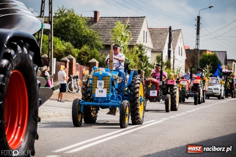 Zdjęcie w galerii na portalu naszraciborz.pl: Dwie orkiestry, kajakarze i drwale, a do tego szarpidruty - kolorowe i radosne dożynki wojewódzkie w Tworkowie  wiadomości z regionu