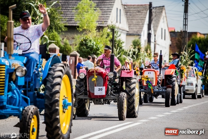 Zdjęcie w galerii na portalu naszraciborz.pl: Dwie orkiestry, kajakarze i drwale, a do tego szarpidruty - kolorowe i radosne dożynki wojewódzkie w Tworkowie  wiadomości z regionu