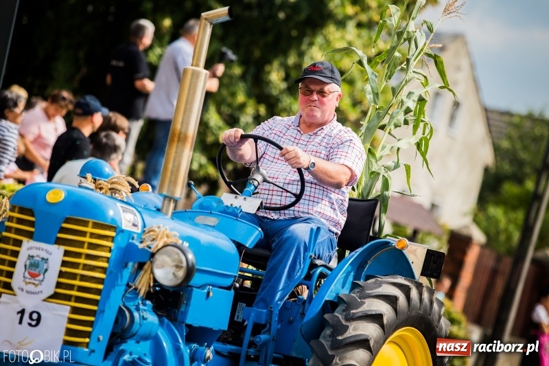 Zdjęcie w galerii na portalu naszraciborz.pl: Dwie orkiestry, kajakarze i drwale, a do tego szarpidruty - kolorowe i radosne dożynki wojewódzkie w Tworkowie  wiadomości z regionu