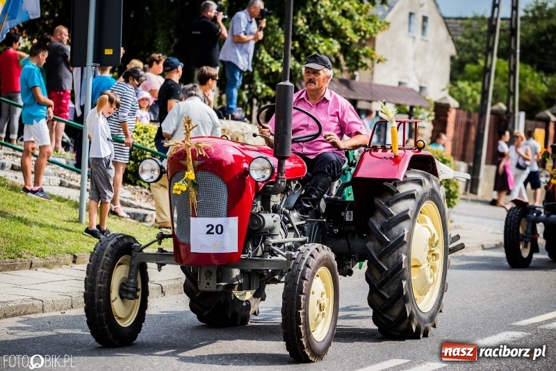 Zdjęcie w galerii na portalu naszraciborz.pl: Dwie orkiestry, kajakarze i drwale, a do tego szarpidruty - kolorowe i radosne dożynki wojewódzkie w Tworkowie  wiadomości z regionu