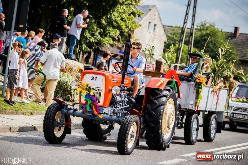 Zdjęcie w galerii na portalu naszraciborz.pl: Dwie orkiestry, kajakarze i drwale, a do tego szarpidruty - kolorowe i radosne dożynki wojewódzkie w Tworkowie  wiadomości z regionu