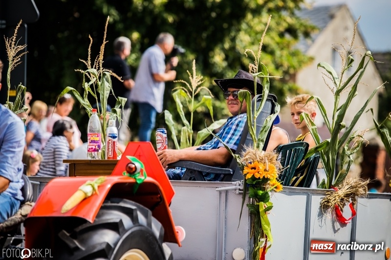 Zdjęcie w galerii na portalu naszraciborz.pl: Dwie orkiestry, kajakarze i drwale, a do tego szarpidruty - kolorowe i radosne dożynki wojewódzkie w Tworkowie  wiadomości z regionu