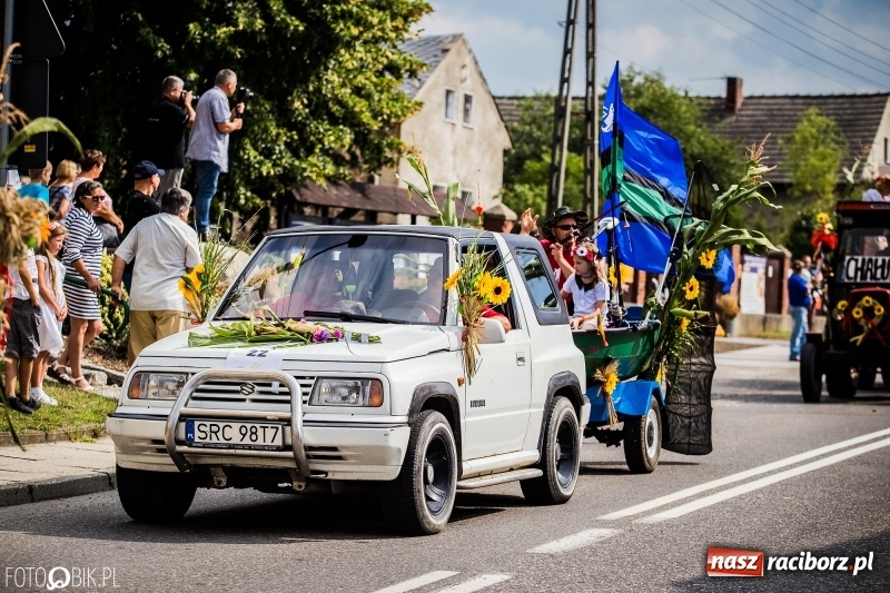Zdjęcie w galerii na portalu naszraciborz.pl: Dwie orkiestry, kajakarze i drwale, a do tego szarpidruty - kolorowe i radosne dożynki wojewódzkie w Tworkowie  wiadomości z regionu