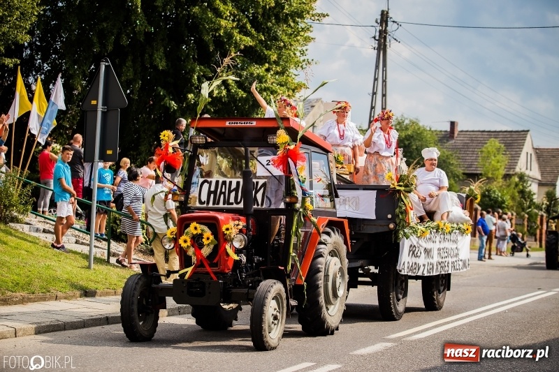 Zdjęcie w galerii na portalu naszraciborz.pl: Dwie orkiestry, kajakarze i drwale, a do tego szarpidruty - kolorowe i radosne dożynki wojewódzkie w Tworkowie  wiadomości z regionu