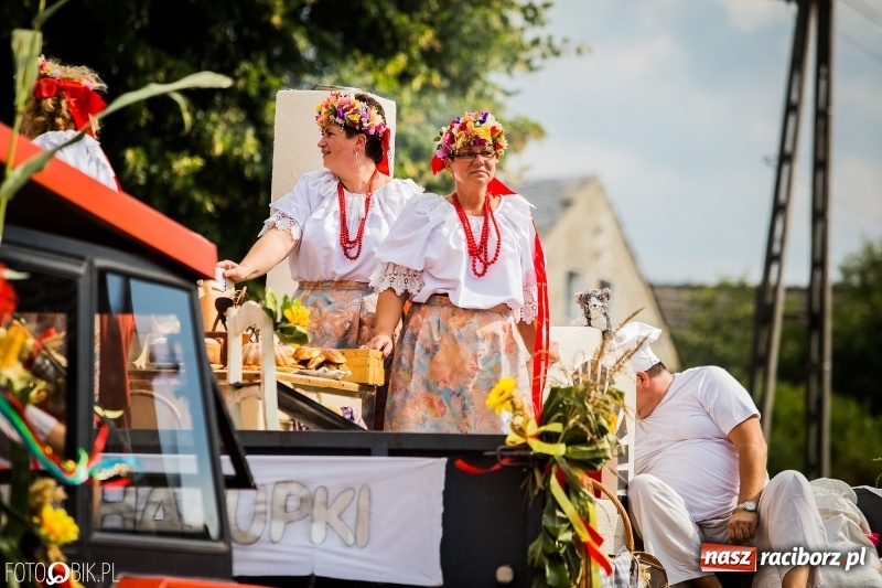 Zdjęcie w galerii na portalu naszraciborz.pl: Dwie orkiestry, kajakarze i drwale, a do tego szarpidruty - kolorowe i radosne dożynki wojewódzkie w Tworkowie  wiadomości z regionu