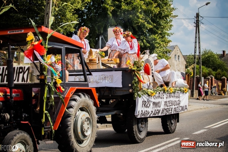Zdjęcie w galerii na portalu naszraciborz.pl: Dwie orkiestry, kajakarze i drwale, a do tego szarpidruty - kolorowe i radosne dożynki wojewódzkie w Tworkowie  wiadomości z regionu