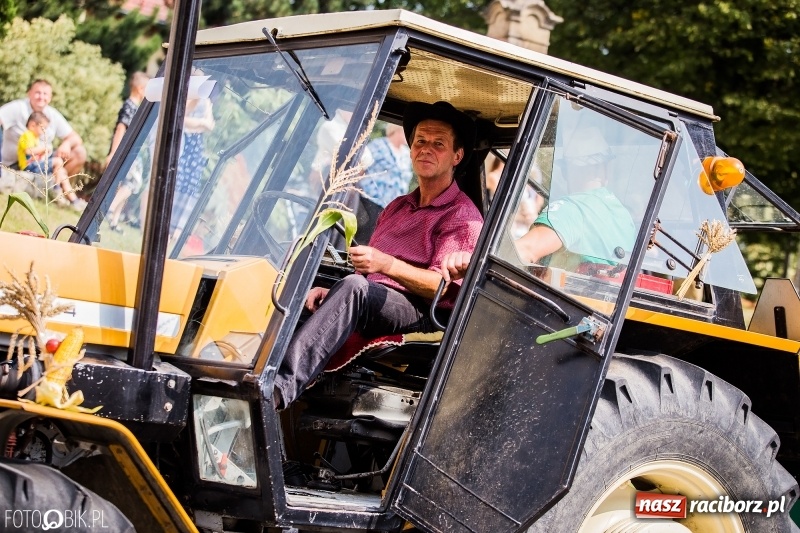 Zdjęcie w galerii na portalu naszraciborz.pl: Dwie orkiestry, kajakarze i drwale, a do tego szarpidruty - kolorowe i radosne dożynki wojewódzkie w Tworkowie  wiadomości z regionu