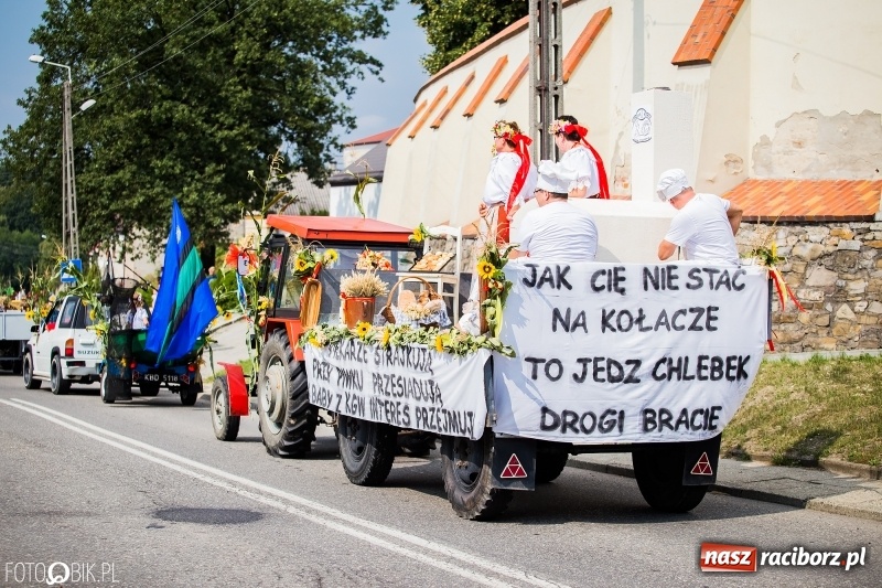 Zdjęcie w galerii na portalu naszraciborz.pl: Dwie orkiestry, kajakarze i drwale, a do tego szarpidruty - kolorowe i radosne dożynki wojewódzkie w Tworkowie  wiadomości z regionu