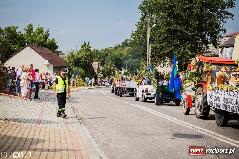 Zdjęcie w galerii na portalu naszraciborz.pl: Dwie orkiestry, kajakarze i drwale, a do tego szarpidruty - kolorowe i radosne dożynki wojewódzkie w Tworkowie  wiadomości z regionu