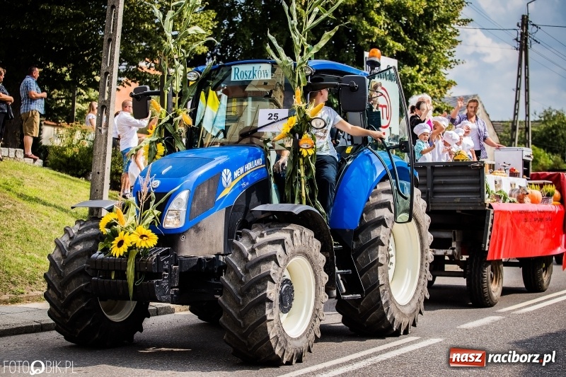 Zdjęcie w galerii na portalu naszraciborz.pl: Dwie orkiestry, kajakarze i drwale, a do tego szarpidruty - kolorowe i radosne dożynki wojewódzkie w Tworkowie  wiadomości z regionu