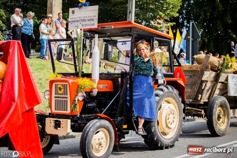 Zdjęcie w galerii na portalu naszraciborz.pl: Dwie orkiestry, kajakarze i drwale, a do tego szarpidruty - kolorowe i radosne dożynki wojewódzkie w Tworkowie  wiadomości z regionu