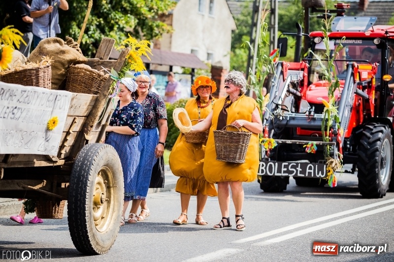 Zdjęcie w galerii na portalu naszraciborz.pl: Dwie orkiestry, kajakarze i drwale, a do tego szarpidruty - kolorowe i radosne dożynki wojewódzkie w Tworkowie  wiadomości z regionu