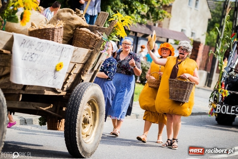 Zdjęcie w galerii na portalu naszraciborz.pl: Dwie orkiestry, kajakarze i drwale, a do tego szarpidruty - kolorowe i radosne dożynki wojewódzkie w Tworkowie  wiadomości z regionu