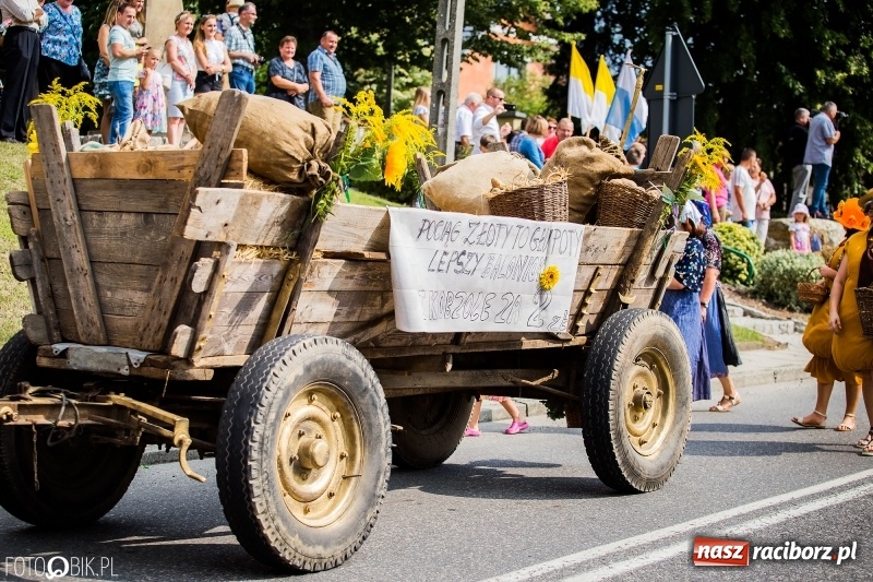 Zdjęcie w galerii na portalu naszraciborz.pl: Dwie orkiestry, kajakarze i drwale, a do tego szarpidruty - kolorowe i radosne dożynki wojewódzkie w Tworkowie  wiadomości z regionu