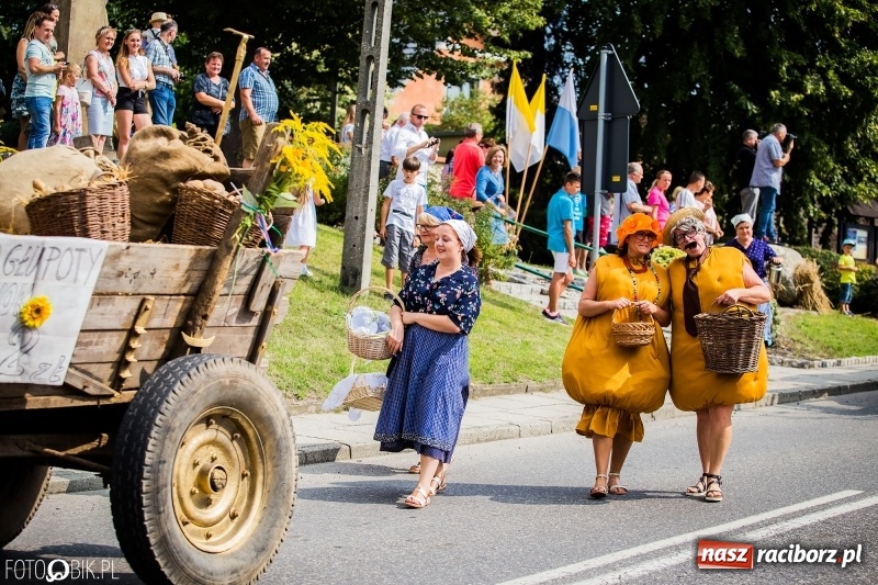 Zdjęcie w galerii na portalu naszraciborz.pl: Dwie orkiestry, kajakarze i drwale, a do tego szarpidruty - kolorowe i radosne dożynki wojewódzkie w Tworkowie  wiadomości z regionu