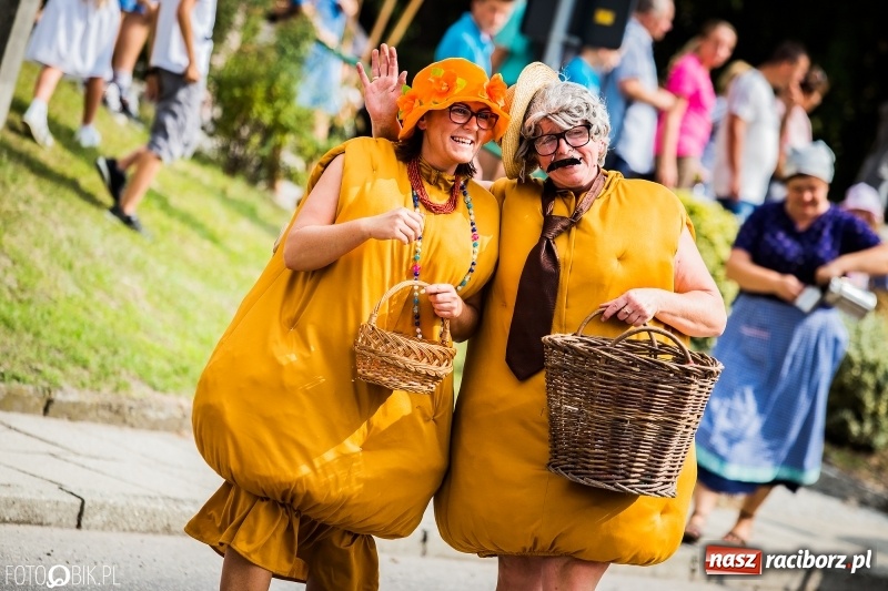 Zdjęcie w galerii na portalu naszraciborz.pl: Dwie orkiestry, kajakarze i drwale, a do tego szarpidruty - kolorowe i radosne dożynki wojewódzkie w Tworkowie  wiadomości z regionu