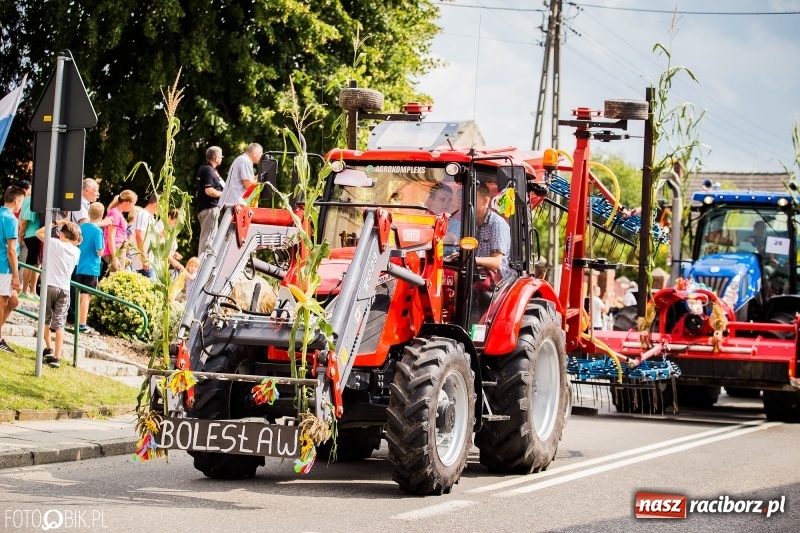Zdjęcie w galerii na portalu naszraciborz.pl: Dwie orkiestry, kajakarze i drwale, a do tego szarpidruty - kolorowe i radosne dożynki wojewódzkie w Tworkowie  wiadomości z regionu