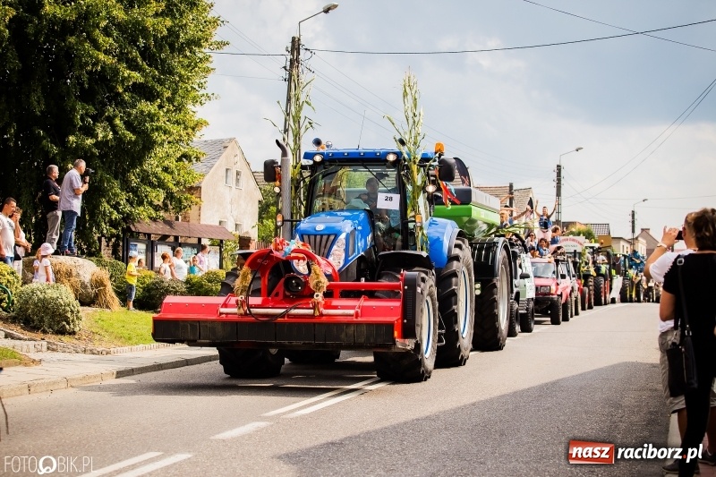 Zdjęcie w galerii na portalu naszraciborz.pl: Dwie orkiestry, kajakarze i drwale, a do tego szarpidruty - kolorowe i radosne dożynki wojewódzkie w Tworkowie  wiadomości z regionu
