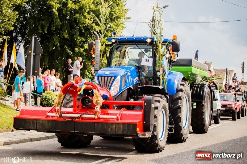 Zdjęcie w galerii na portalu naszraciborz.pl: Dwie orkiestry, kajakarze i drwale, a do tego szarpidruty - kolorowe i radosne dożynki wojewódzkie w Tworkowie  wiadomości z regionu