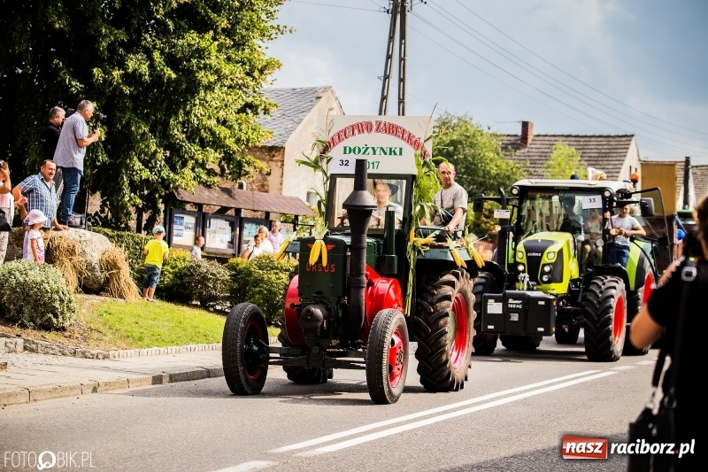 Zdjęcie w galerii na portalu naszraciborz.pl: Dwie orkiestry, kajakarze i drwale, a do tego szarpidruty - kolorowe i radosne dożynki wojewódzkie w Tworkowie  wiadomości z regionu