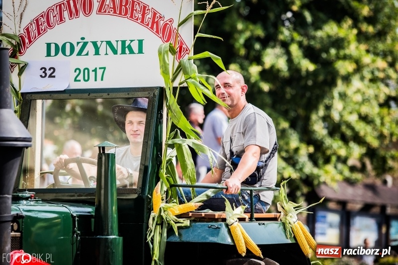 Zdjęcie w galerii na portalu naszraciborz.pl: Dwie orkiestry, kajakarze i drwale, a do tego szarpidruty - kolorowe i radosne dożynki wojewódzkie w Tworkowie  wiadomości z regionu