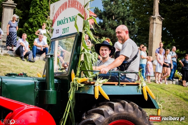 Zdjęcie w galerii na portalu naszraciborz.pl: Dwie orkiestry, kajakarze i drwale, a do tego szarpidruty - kolorowe i radosne dożynki wojewódzkie w Tworkowie  wiadomości z regionu