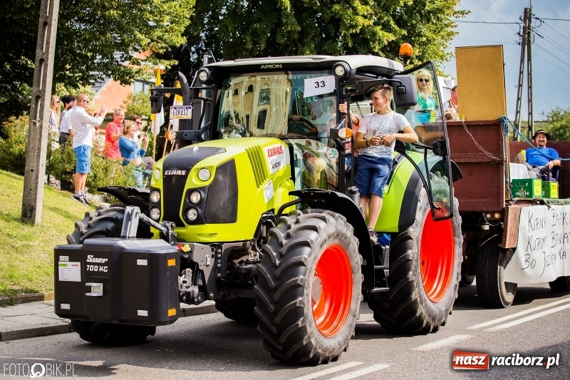 Zdjęcie w galerii na portalu naszraciborz.pl: Dwie orkiestry, kajakarze i drwale, a do tego szarpidruty - kolorowe i radosne dożynki wojewódzkie w Tworkowie  wiadomości z regionu