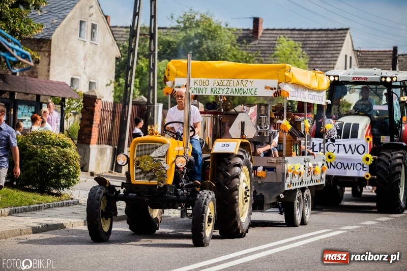 Zdjęcie w galerii na portalu naszraciborz.pl: Dwie orkiestry, kajakarze i drwale, a do tego szarpidruty - kolorowe i radosne dożynki wojewódzkie w Tworkowie  wiadomości z regionu