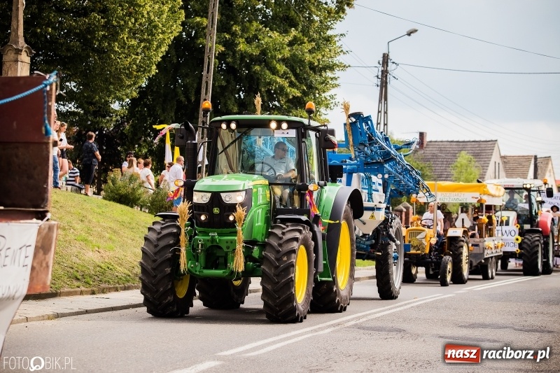 Zdjęcie w galerii na portalu naszraciborz.pl: Dwie orkiestry, kajakarze i drwale, a do tego szarpidruty - kolorowe i radosne dożynki wojewódzkie w Tworkowie  wiadomości z regionu