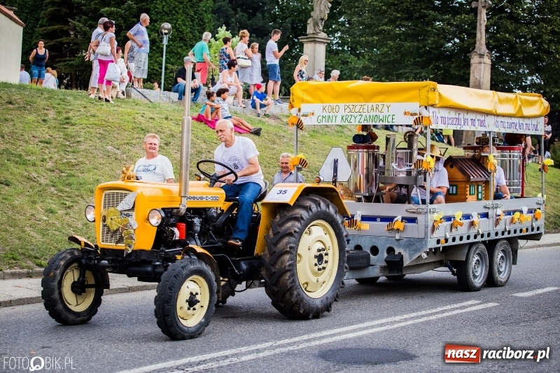 Zdjęcie w galerii na portalu naszraciborz.pl: Dwie orkiestry, kajakarze i drwale, a do tego szarpidruty - kolorowe i radosne dożynki wojewódzkie w Tworkowie  wiadomości z regionu