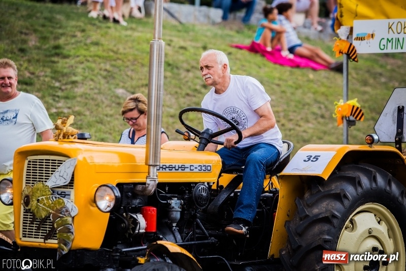 Zdjęcie w galerii na portalu naszraciborz.pl: Dwie orkiestry, kajakarze i drwale, a do tego szarpidruty - kolorowe i radosne dożynki wojewódzkie w Tworkowie  wiadomości z regionu