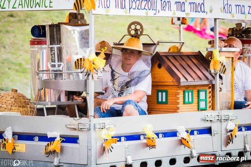 Zdjęcie w galerii na portalu naszraciborz.pl: Dwie orkiestry, kajakarze i drwale, a do tego szarpidruty - kolorowe i radosne dożynki wojewódzkie w Tworkowie  wiadomości z regionu