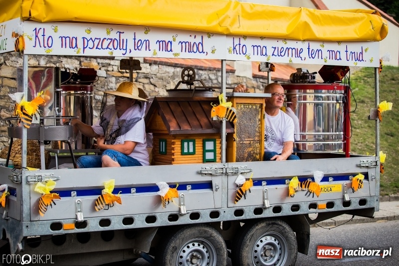 Zdjęcie w galerii na portalu naszraciborz.pl: Dwie orkiestry, kajakarze i drwale, a do tego szarpidruty - kolorowe i radosne dożynki wojewódzkie w Tworkowie  wiadomości z regionu
