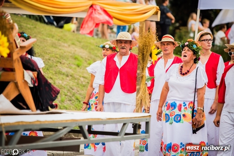 Zdjęcie w galerii na portalu naszraciborz.pl: Dwie orkiestry, kajakarze i drwale, a do tego szarpidruty - kolorowe i radosne dożynki wojewódzkie w Tworkowie  wiadomości z regionu