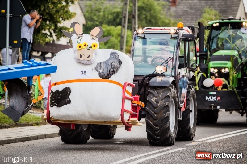 Zdjęcie w galerii na portalu naszraciborz.pl: Dwie orkiestry, kajakarze i drwale, a do tego szarpidruty - kolorowe i radosne dożynki wojewódzkie w Tworkowie  wiadomości z regionu