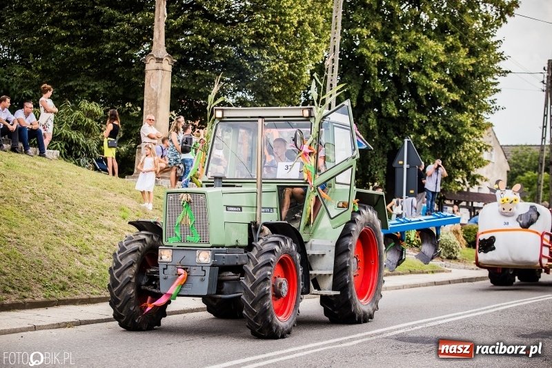Zdjęcie w galerii na portalu naszraciborz.pl: Dwie orkiestry, kajakarze i drwale, a do tego szarpidruty - kolorowe i radosne dożynki wojewódzkie w Tworkowie  wiadomości z regionu