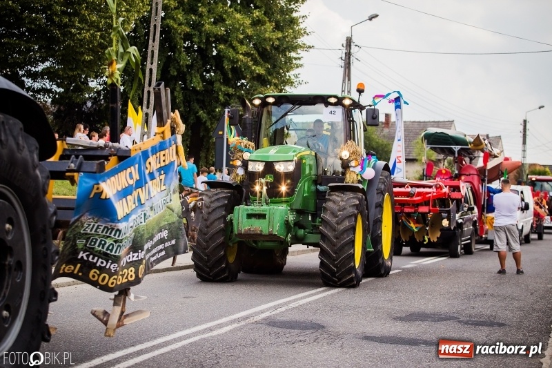 Zdjęcie w galerii na portalu naszraciborz.pl: Dwie orkiestry, kajakarze i drwale, a do tego szarpidruty - kolorowe i radosne dożynki wojewódzkie w Tworkowie  wiadomości z regionu