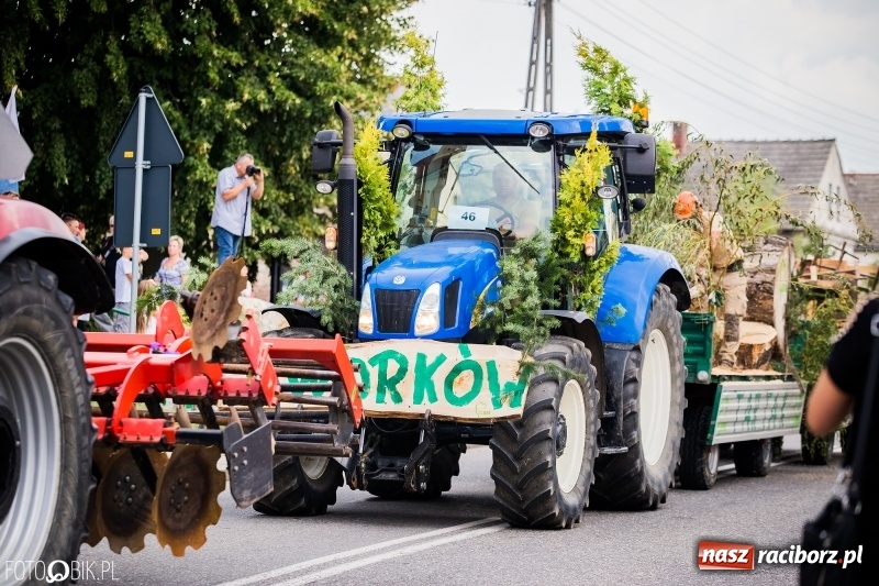 Zdjęcie w galerii na portalu naszraciborz.pl: Dwie orkiestry, kajakarze i drwale, a do tego szarpidruty - kolorowe i radosne dożynki wojewódzkie w Tworkowie  wiadomości z regionu