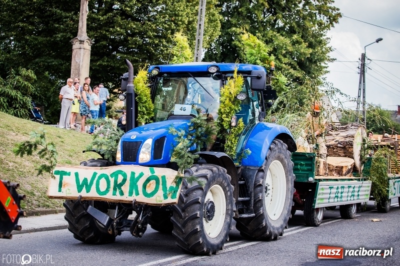 Zdjęcie w galerii na portalu naszraciborz.pl: Dwie orkiestry, kajakarze i drwale, a do tego szarpidruty - kolorowe i radosne dożynki wojewódzkie w Tworkowie  wiadomości z regionu