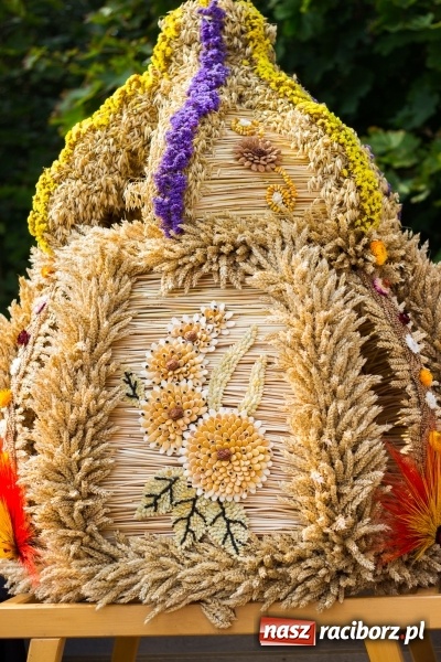 Zdjęcie w galerii na portalu naszraciborz.pl: Kandydatki i rolnicy, czyli powiew młodości na dożynkach w Rudniku  wiadomości z regionu